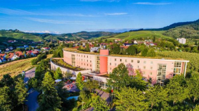 Hotels in Durbach